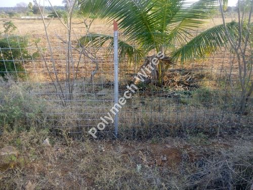 Customized Weldmesh Fencing Rolls