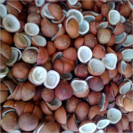 Dry Coconuts