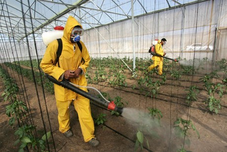 Agricultural Fertilizers