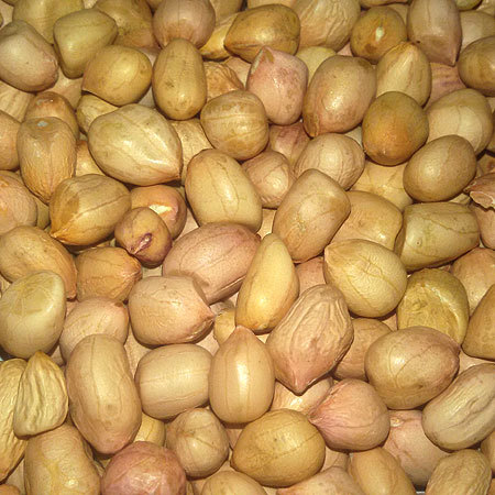 Groundnut Seeds