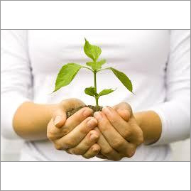 Company Formation Services - Comprehensive Establishment Solutions | Expert Support, Legal Compliance, Cost-Effective Setup, Director Appointment, Fast Service