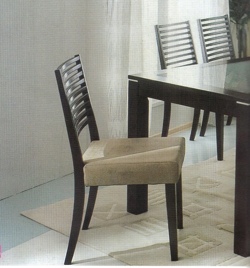 Modern Dinning Set