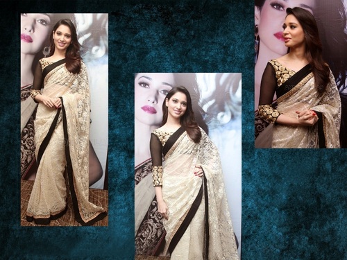 Outstanding Bollywood Saree - Net Fabric 6.3m, Beige Contrast Blouse | Embroidery, Lace Detailing, Elegant Design