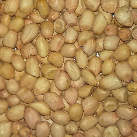 Groundnut