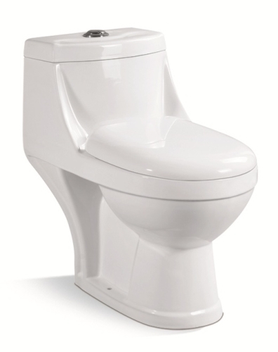 One Piece EWCs with Integrated Cistern, Seat Cover