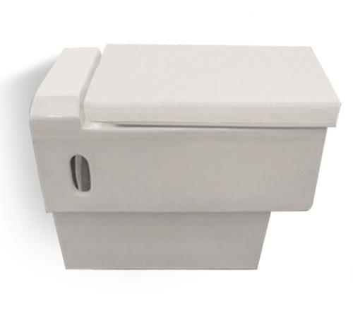 Wall Hung EWCs With Seat Cover