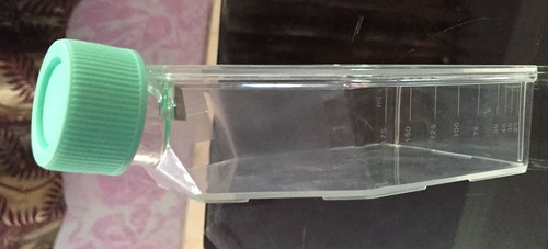 cell culture flask plastic