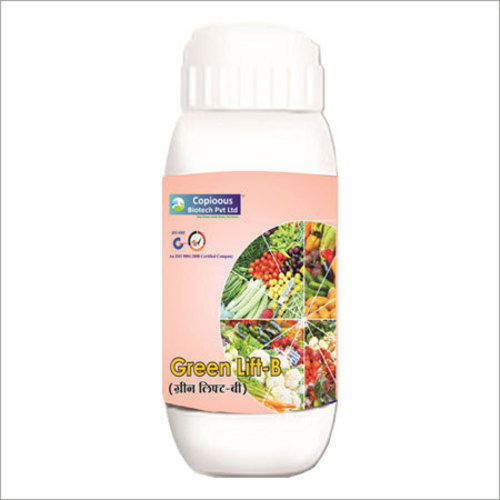 Azotobacter Biofertilizer