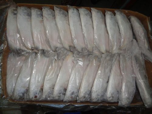 Fish Frozen Silver Pomfret