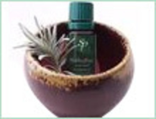 CARAWAY HUNGARY OIL