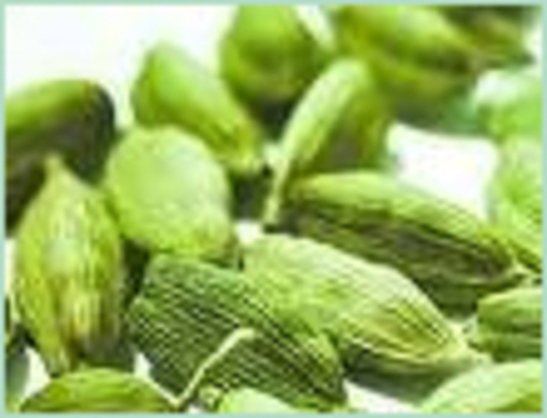 Cardamom Essential Oil