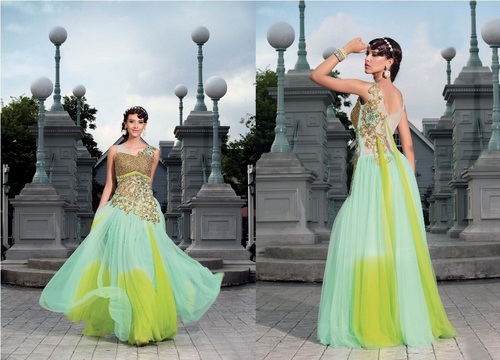 Glamorous Embroidery Gown