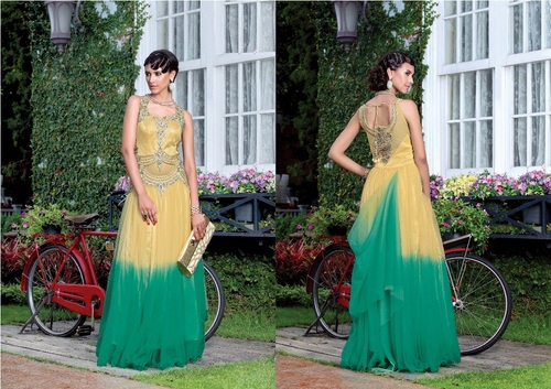 Amazing Embroidery Gown