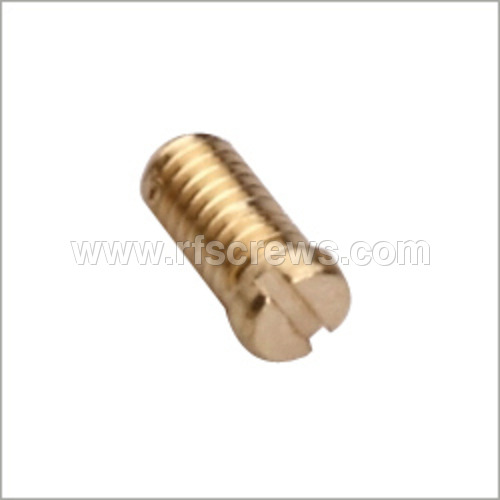 Brass Head Screw