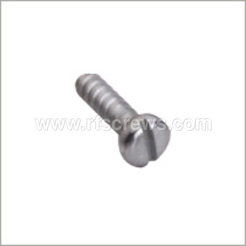 Stainless Steel Screws