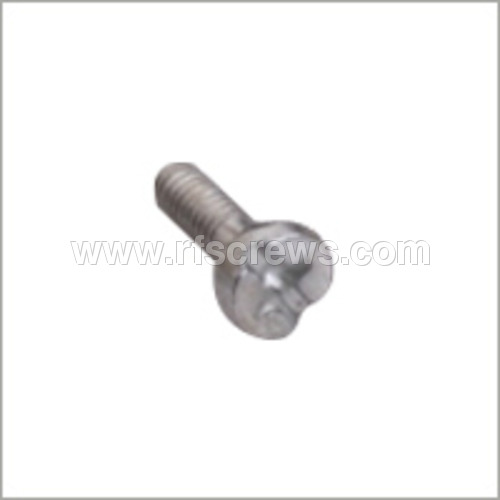 SS Hex Screws