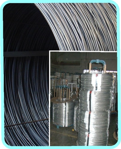 Steel Wires