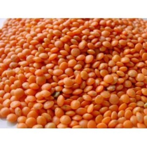 Masoor Dal