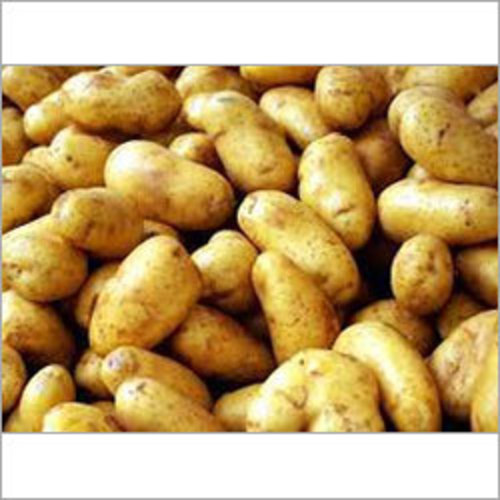Fresh Potato