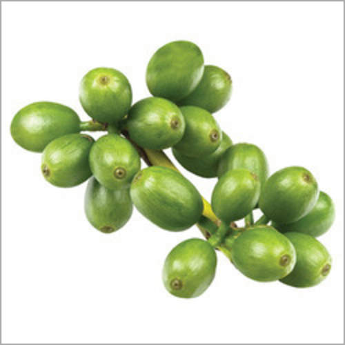 Green Coffee Extract