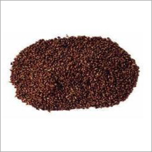 Grape Seed Extract