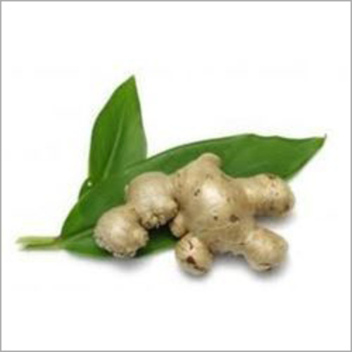 Gingerol Oleoresin