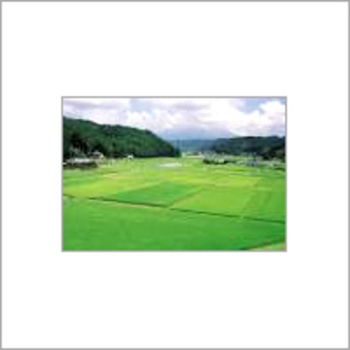 Agricultural Land Development