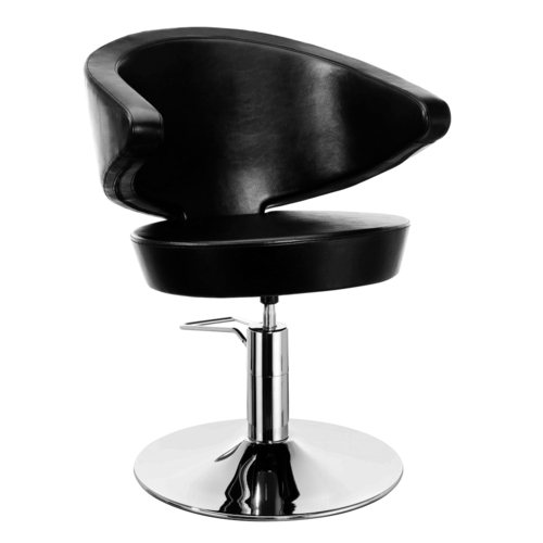 Fancy Salon Chair