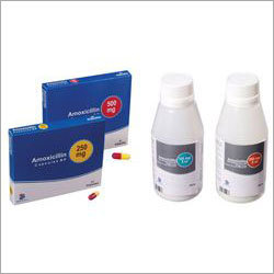 Ampicillin Antibiotic