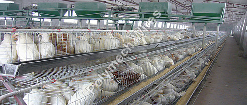 Layer Cage Welded Mesh