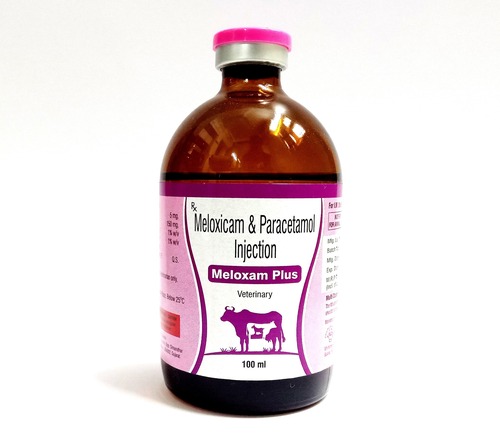 Inmersion Meloxicam Con Paracetamol Plm Inmersion Meloxicam Con Paracetamol Plm