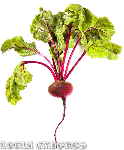 beetroot