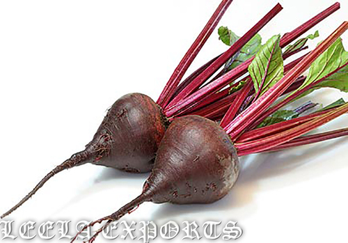 beetroot,