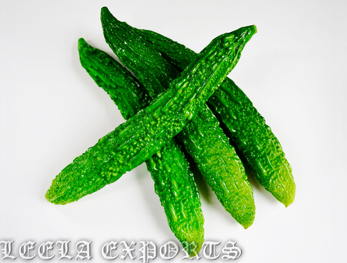 fresh bitter gourd