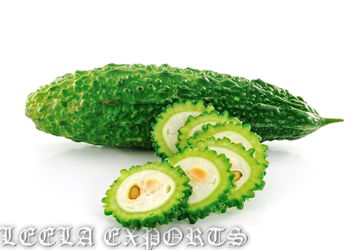 bitter gourd powder manufacturer