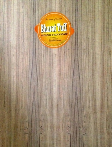 Teak Flush Door