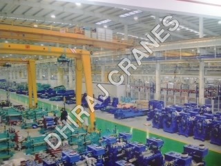 Industrial Goliath Cranes