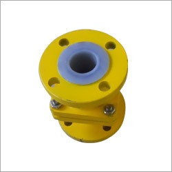 FEP Check Valve