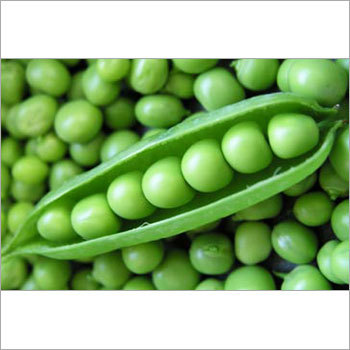 Fresh Green Peas