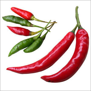 Fresh Vegetables