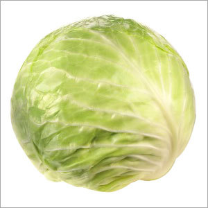 Cabbage