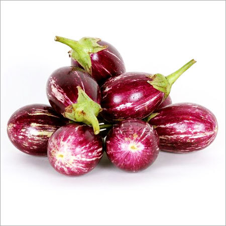 Brinjal