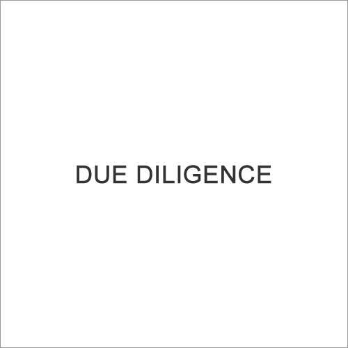 Due Diligence