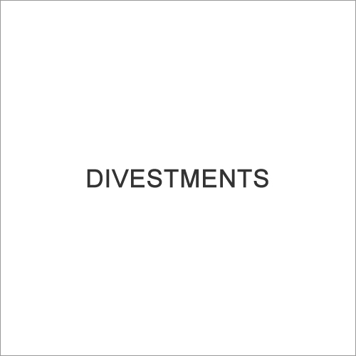 Divestments - Strategic Business Portfolio Review, Detailed Financial Modeling, Sales Maximization, Risk Mitigation