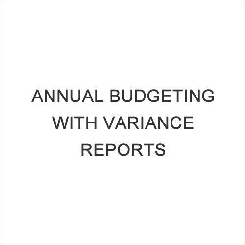 Annual Budgeting with Variance Reports