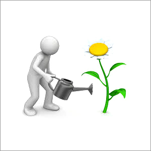 Company Start up Services - Comprehensive Company Formation Solutions | Expert Guidance, Legal Compliance, Timely Service, Cost Effective