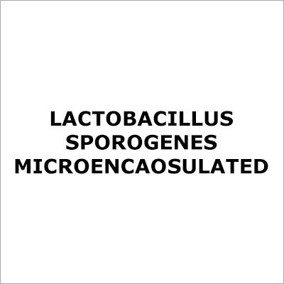Lactobacillus Sporogenes Microencaosulated
