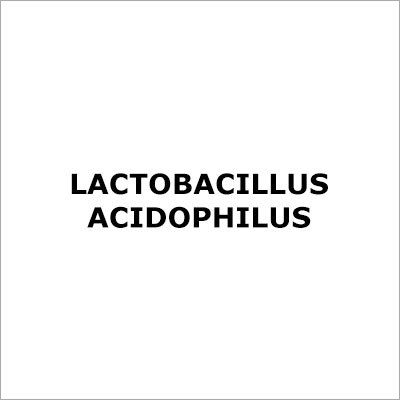 Lactobacillus Acidophilus