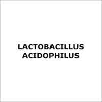 Lactobacillus Acidophilus - Chemical Bacteria, Probiotic Properties For Gut Health Support