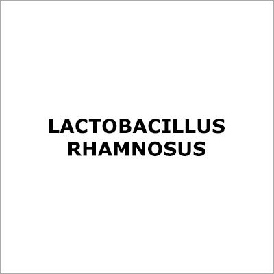 Lactobacillus Rhamnosus